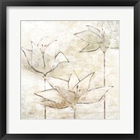 Floral Sketch I Framed Print