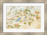 Framed Blue Birds Branch