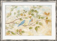 Framed Blue Birds Branch