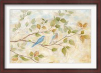 Framed Blue Birds Branch