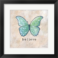 Butterfly Expressions III Framed Print