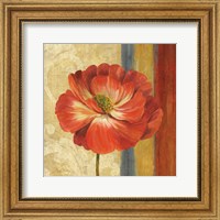 Framed Poppy Tapestry Stripes II