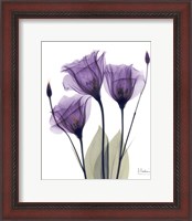 Framed Gentian Hope