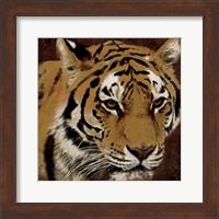 Framed Tiger 2