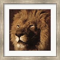 Framed Lion 2
