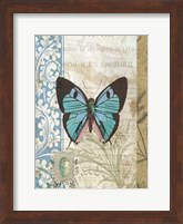 Framed Butterfly Blue