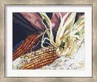 Framed Indian Corn