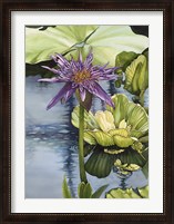 Framed Lily