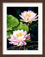 Framed Waterlily Reflections