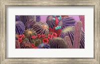 Framed Barrel Cactus 1