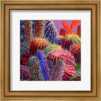 Framed Barrel Cactus 4