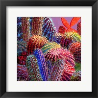 Framed Barrel Cactus 4