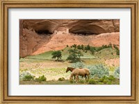 Framed Canyon De Chelly