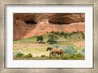 Framed Canyon De Chelly