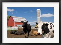 Framed Cows, red barn, silo, farm, Wisconsin