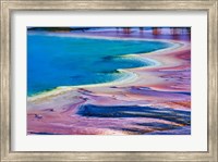 Framed Pattern in Bacterial Mat, Midway Geyser Basin, Yellowstone National Park, Wyoming