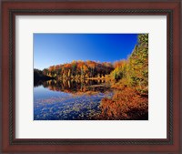 Framed Pond in the Chaquamegon National Forest, Cable, Wisconsin