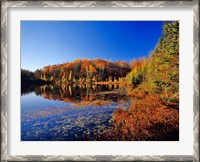 Framed Pond in the Chaquamegon National Forest, Cable, Wisconsin