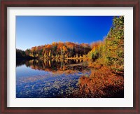 Framed Pond in the Chaquamegon National Forest, Cable, Wisconsin
