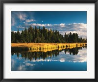 Framed Trees reflecting in Snake River, Grand Teton National Park, Wyoming