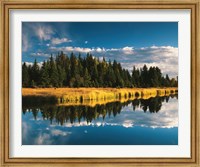 Framed Trees reflecting in Snake River, Grand Teton National Park, Wyoming