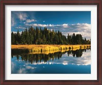 Framed Trees reflecting in Snake River, Grand Teton National Park, Wyoming