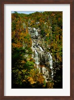 Framed White Water Falls
