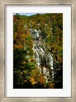 Framed White Water Falls