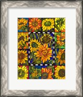 Framed Sunflower Mania