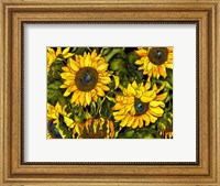 Framed Sunflowers On a Field of Green