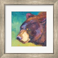 Framed Charlie Bear