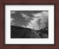 Framed Lonely Path II
