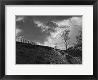 Lonely Path II Framed Print
