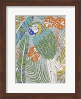 Framed Tropical Macaw