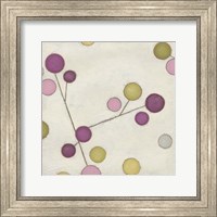 Framed Molecular Blossoms II