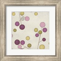 Framed Molecular Blossoms III