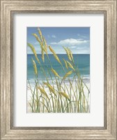 Framed Summer Breeze I