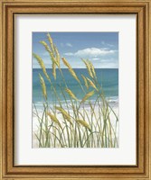 Framed Summer Breeze I