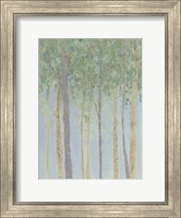 Framed Hazy Woodlands II