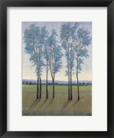 Acreage I Framed Print