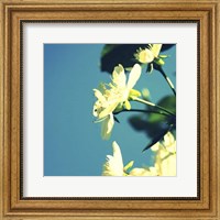 Framed Summer Blossom I
