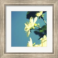 Framed Summer Blossom I