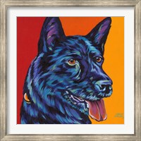 Framed Dogs in Color I
