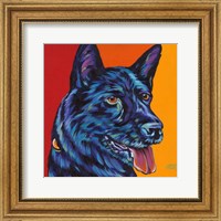 Framed Dogs in Color I