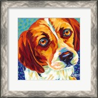 Framed Dogs in Color II