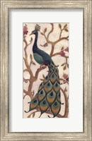 Framed Peacock Fresco II