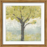 Framed Spring Arbor I