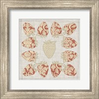 Framed Contour Fruits & Veggies IX