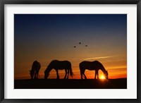 Framed Fly Over