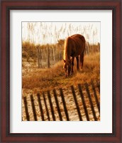 Framed Solitary Light